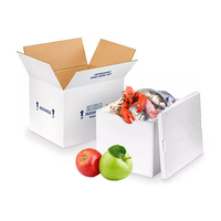 Caja Aislada Reutilizable Thermo Chill para Envío de Alimentos Congelados, Espuma EPS, Poliestireno, Enfriador de Hielo, Cadena de Frío, Cartón Aislado