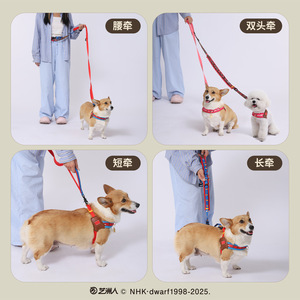 Huayuan Hoopet Dog <b>Leash</b> Cartoon Pattern Spring Cherry Blossoms Dreamy Purple Midnight Blue Non Retractable <b>Pet</b> Tow Rope - Product Image 4
