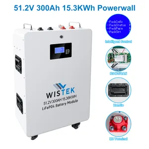 Wistek Power Wall Lithium Lifepo4 Bateria Doméstica Solar 48V 100Ah 200Ah 300Ah 400Ah 5Kwh 10Kwh 15Kwh 20Kwh Sistemas de Energia Solar