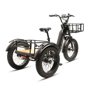 TXED 20 Inch Electric Tricycles 3 Wheel For Delivery Adjustable Seat Height Motor 15ah 48V 500w Electric Cargo Bicycle