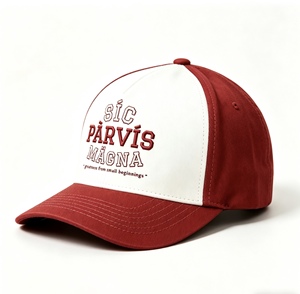 Gorra de Béisbol Bordada Personalizada, Estilo Hip Hop, Talla Ajustable, Gorras de Alta Calidad de Marca - Product Image 3