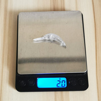 Leurre artificiel dur de type ver bionique micro-organisme ABS 5cm/2g, coulant, non revêtu, corps vierge non imprimé
