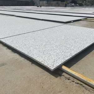 Lastre di Granito Bianco Sesamo Lucidato all'Ingrosso <span class=keywords><strong>per</strong></span> Pareti Interne ed Esterni, Progetti di Facciate - Product Image 5