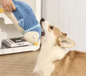 Çevre dostu pamuk peluş penguen köpek oyuncak-köpekler için interaktif diş taşlama oyuncak - Product Image 6