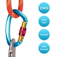 Mousqueton en aluminium à verrouillage automatique robuste pour l'escalade Rappeling Mountaineer Twist Lock 25kn Grands mousquetons d'escalade