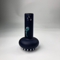 Brosse de massage micro-courant à 3 niveaux de réglage de température, compresse chaude, outil de modelage corporel et de raclage pour le visage, prises AU/US/CN