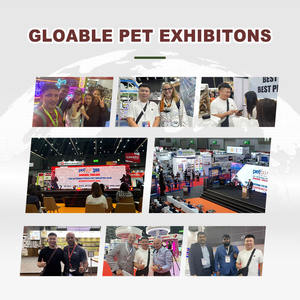 Litière <span class=keywords><strong>pour</strong></span> chat en bentonite premium, à faible teneur en poussière, à faible teneur en sucre de roche, à base d'argile minérale naturelle, livraison rapide, OEM ODM - Product Image 6