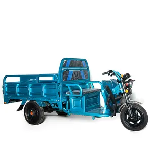 Triciclo eléctrico de carga de tres ruedas, alta potencia, Popular, de seguridad