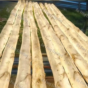 Artificial White Birch Tree <b>Lights</b> for Hotels Shopping Malls Theme Parks Resorts and <b>Holiday</b> Landscape Decoration - Product Image 6