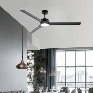 JK ZS-60-23113BK Led Ceiling Fan DC Motor 3 ABS Blades Remote Controlled Outdoor Ceiling Fan
