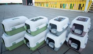 Transportín de mascotas divertido ligero con aire acondicionado Boeing para perros y gatos - Product Image 5