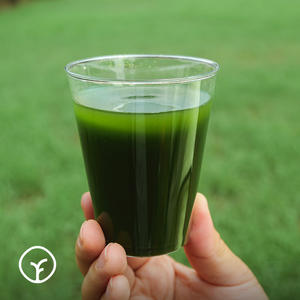 Dream Afar High Dietary Fiber Biologische Gerstensproten Groene Sap Poeder 90g Zonder Toegevoegde Suiker Internetberoemdheid Voedingsmiddel - Product Image 5