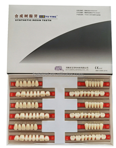 Prothèses dentaires <span class=keywords><strong>en</strong></span> résine acrylique CE/ISO, Matériaux dentaires, Prothèses dentaires <span class=keywords><strong>en</strong></span> résine synthétique - Product Image 2