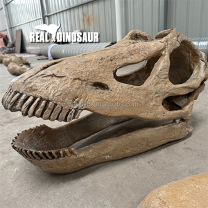Bảo Tàng Khủng Long Triển Lãm Kích Thước Cuộc Sống T-REX Hóa Thạch Đầu Khủng Long - Product Image 6