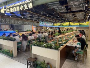 Convoyeur à bande pour fondue et sushis de haute qualité avec convoyeur à chaîne polyvalent et chaînes de convoyeur pour salle à manger - Product Image 6