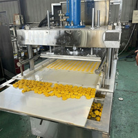 Machine de production de friandises pour animaux QDMECH – Machine à gâteaux de haricots verts de qualité supérieure, presse à gâteaux de haricots mungo, machine à briquettes et à former des pâtisseries