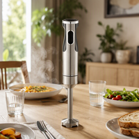 Mixeur plongeant électrique portable 400W étanche, extracteur de jus, mixeur plongeant