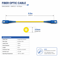 Cordon de brassage optique monomode à fibre unique de qualité télécom 0,5 m SC-SC 9/125 OS2