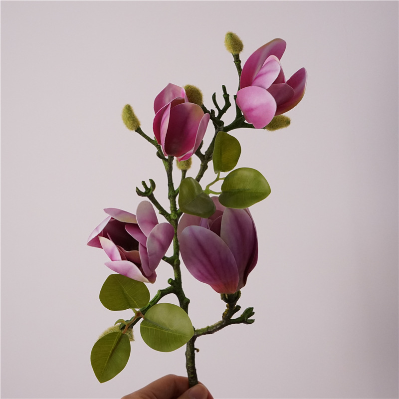 4 small magnolia-purple