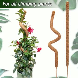 120cm Bendable Eco-Friendly Coir Moss <b>Pole</b> Plant Support Minimalist Home <b>Garden</b> Indoor Climbing Plants <b>for</b> Monstera Pothos - Product Image 4