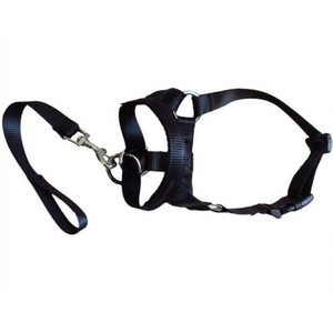 Set tali moncong anjing antigigit, penutup mulut anjing nilon dapat diatur dengan masker wajah dan pita pola padat - Product Image 2