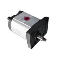 Pompe à engrenages externe compacte série PGE PGE101 PGE102 PGE103 Pompe hydraulique à cylindrée fixe PGE102-100-RBR1-N-XXXX