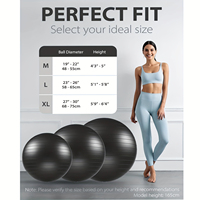 Ballon de yoga sur mesure 25 cm 65 cm Grand ballon de massage en forme d'arachide 65 cm Ballons de yoga