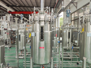 Лабораторный ферментационный биореактор, промышленный биореактор, 50 л, 100 л, 200 л - Product Image 5