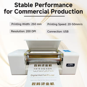 Magnificent Quality Superb <b>Cost</b> Digital Hot Foil <b>Printer</b> Automatic Feeding Roll Sheet Packaging Heat Press Transfer Machine - Product Image 2