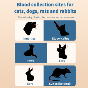 개를위한 휴대용 무통 혈당 측정기 키트 포도당 모니터링을위한 50 개의 테스트 스트립이있는 당뇨병 동물 - Product Image 6
