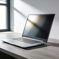 Ordinateur portable ultra-fin Wandong OEM 15,6 pouces, AMD, 16 Go de DDR4, 512 Go de SSD, écran FHD IPS, longue durée de vie de la batterie, Windows 10 Pro anglais, métal