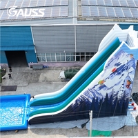 Toboggan aquatique gonflable commercial à double voie avec grande piscine pour le plaisir estival en extérieur, jardin, parc et fêtes aquatiques