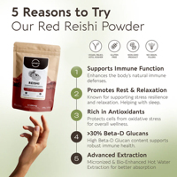Extrait de Reishi en poudre OEM 10:1, 100g, 30% Bêta-glucanes, 100% corps fruiteur, soutien apaisant contre le stress