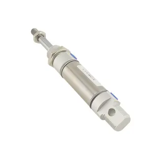 DSNU China Supplier Precision Machining Two-Way Seal Pneumatic Components Stainless Steel Mini Cylinder