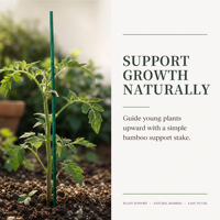 Piquet de soutien en bambou naturel vert enduit pour tomates et légumes, durable et écologique