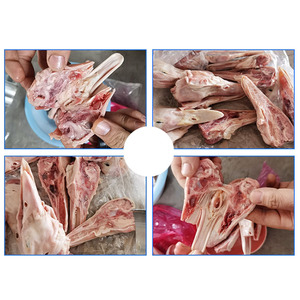 เครื่องตัดหัวเป็ดและไก่ประสิทธิภาพสูงสำหรับโรงงานแปรรูปอาหาร - Product Image 6