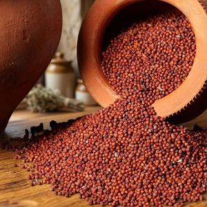 NIRVAN GLOBAL 100% Millet entier sans gluten certifié naturel (Ragi) Durée de conservation de 12 mois Farine à moudre pour cuisiner des bouillies - Product Image 3