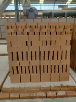 Briques réfractaires en argile frittée densifiée résistantes aux chocs thermiques – Prix compétitifs du fabricant – Briques réfractaires SK30 SK32 SK34