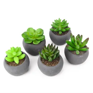 Tafeldecoratie Plastic Kunstmatige Kleine Vetplanten Potted Mini Bonsai Fabriek Groothandel