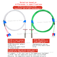 Sensor Probe Suhu Pt100 Berlapis Perak dengan Kabel PTFE Tahan Air WZPM-201 Thermistor dengan Ujung Pemblokir