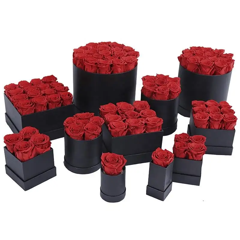 Konservierte Rosen in Schachtel Zylinder langlebige Blumen, die für Muttertag Weihnachten Graduierung oder Ostern nicht verblassen