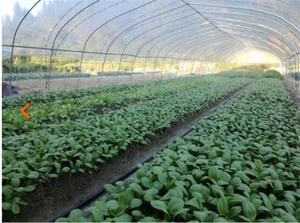 Sistema <span class=keywords><strong>de</strong></span> riego por goteo para granja, microcinta <span class=keywords><strong>de</strong></span> pulverización para riego <span class=keywords><strong>de</strong></span> agua - Product Image 3