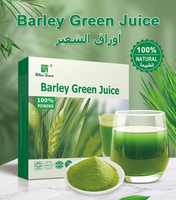 Wins Town OEM Poudre de jus de jus de blé vert riche en vitamines et minéraux favorise la combustion des graisses soutient un métabolisme sain