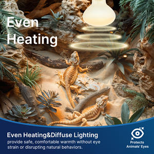 소형 애완 동물 파충류를 위한 엄격한 품질의 파충류 구근 E26 R80 젖빛 유리 에너지 절약형 방폭 난방 조명 - Product Image 5