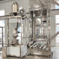 Machine à moudre le soja, ligne de traitement du lait de soja entièrement automatique, raffineur de soja entièrement automatique