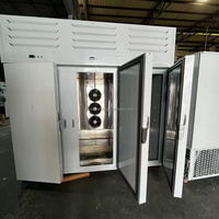 -40 ° Congélateur-chiller industriel commercial à 3 portes pour la congélation rapide des glaces, pizzas et aliments pour animaux de compagnie