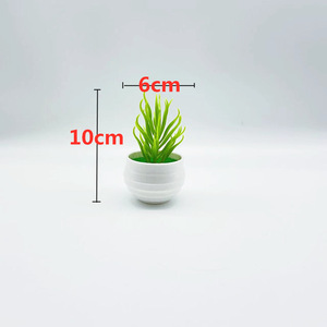 Succulente artificielle Qi Xing en pot de plastique de 14 cm de haut pour la décoration intérieure - Product Image 3