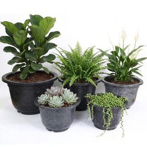 Maceta de Plástico con Efecto Piedra Negra para Jardín, Forma de Campana, Boca Ancha, 9 Tamaños Disponibles para Reventa en Viveros, Pedidos al por Mayor - Product Image 1