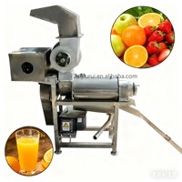Machine de traitement de jus de fruits de mangue commerciale 220V, extracteur de lait de coco, ligne de fabrication de jus de pomme
