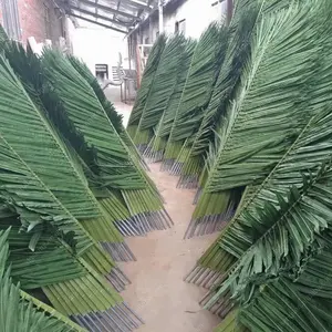 Feuilles artificielles de palmier de qualité de preuve UV de 1.5m-3.4m/phénix de feuille de noix de coco ou forme ronde